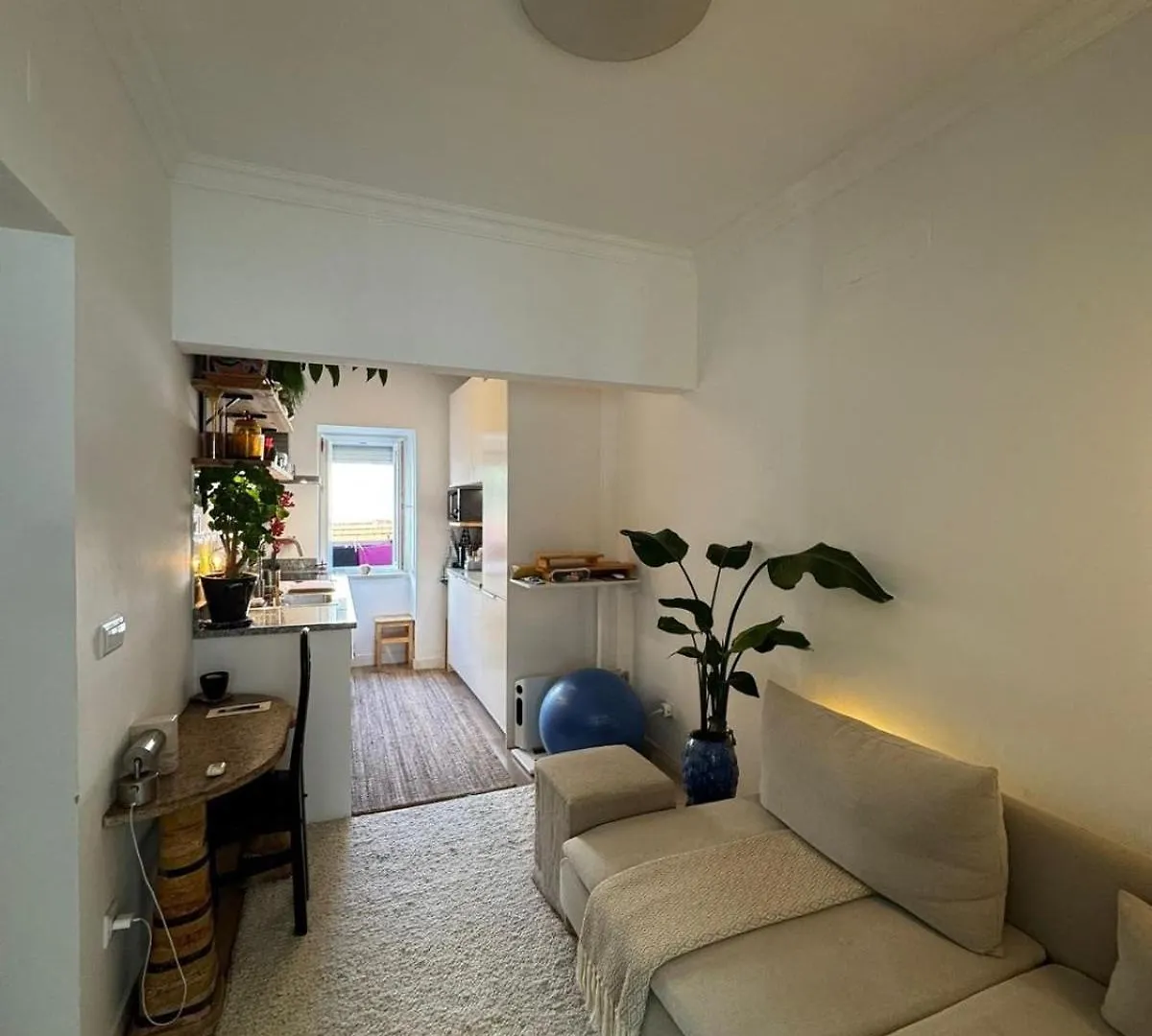 Cosy Campo De Ourique Apartment Lisbon Portugal